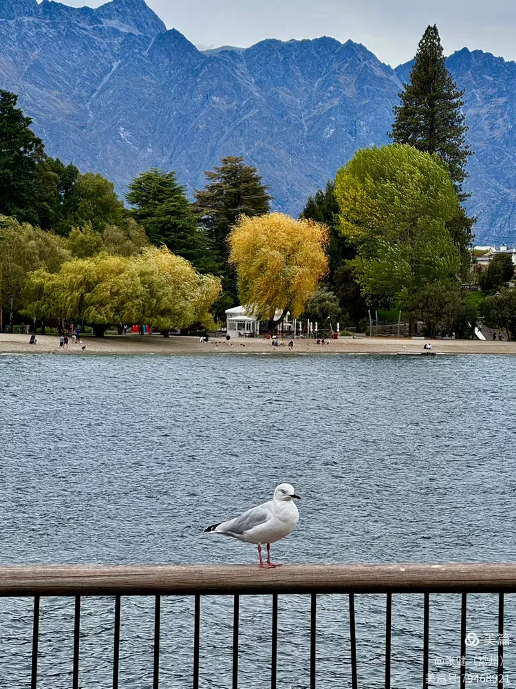 8.新西兰之旅之南岛皇后镇